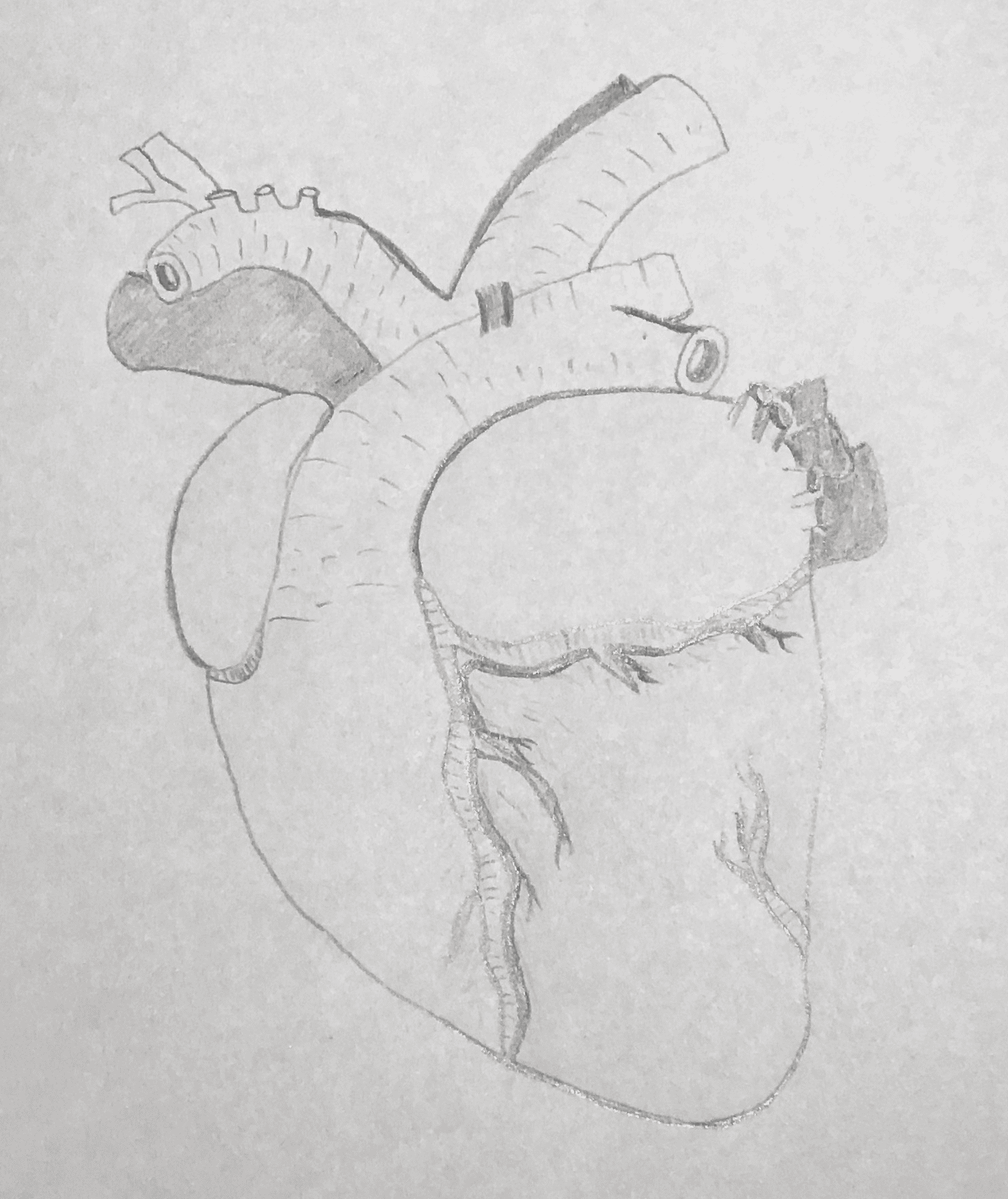 Cheval